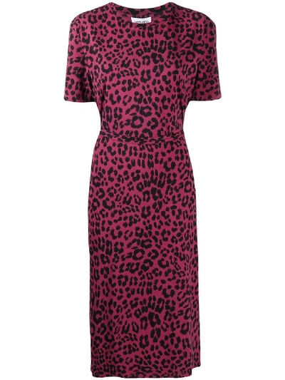 Shop Kenzo Leopard Print T-shirt Dress In Pink