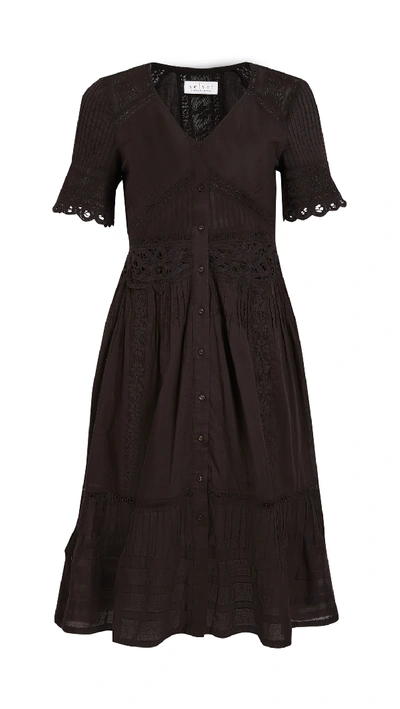 Shop Velvet Suri Dress In Black