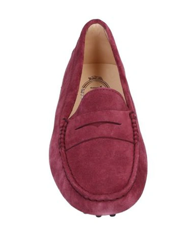 Shop Tod's Woman Loafers Mauve Size 5 Calfskin In Purple