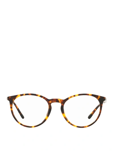 Shop Polo Ralph Lauren Light Havana Optical Glasses In Brown