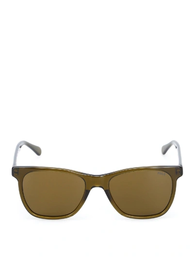 Shop Polo Ralph Lauren Transparent Acetate Sunglasses In Green