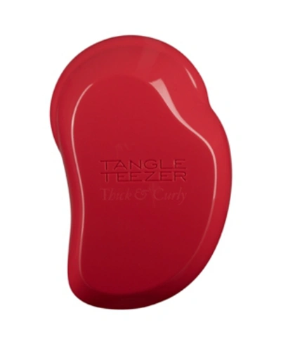 Shop Tangle Teezer Thick And Curly Detangling Hairbrush In Salsa Red