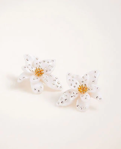 Shop Ann Taylor Pave Floral Statement Earrings In White