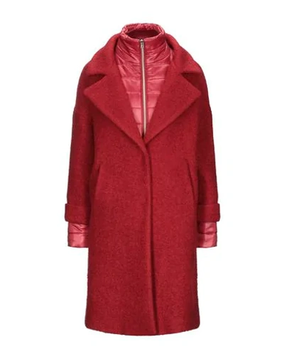 Shop Herno Woman Coat Red Size 14 Virgin Wool, Viscose, Polyamide, Mohair Wool