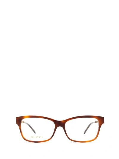 Shop Gucci Gg0657o Havana Glasses In 3