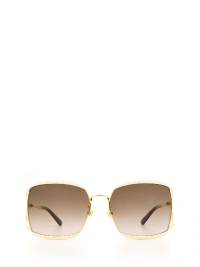 Shop Gucci Gg0593sk Ivory Sunglasses