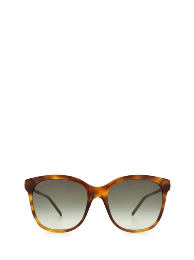 Shop Gucci Gg0654s Havana Sunglasses In 2