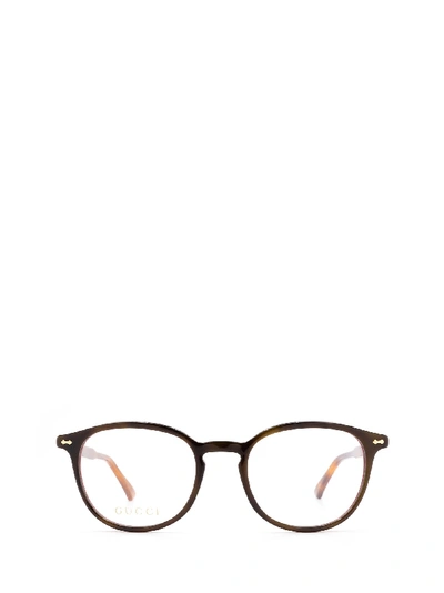 Shop Gucci Gg0187o Havana Glasses In 10