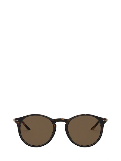 Shop Giorgio Armani Ar8121 Dark Havana Sunglasses In 502673