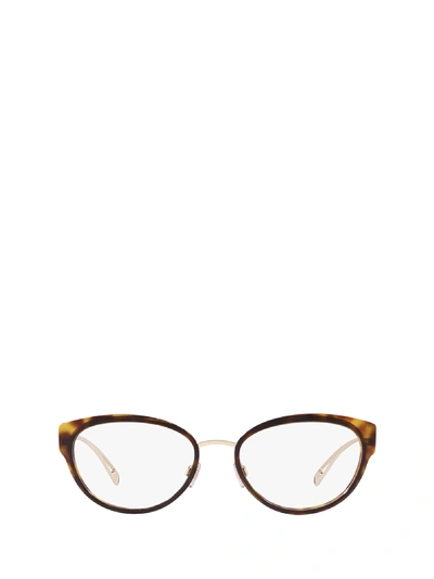 Shop Giorgio Armani Ar5090 3013 Glasses