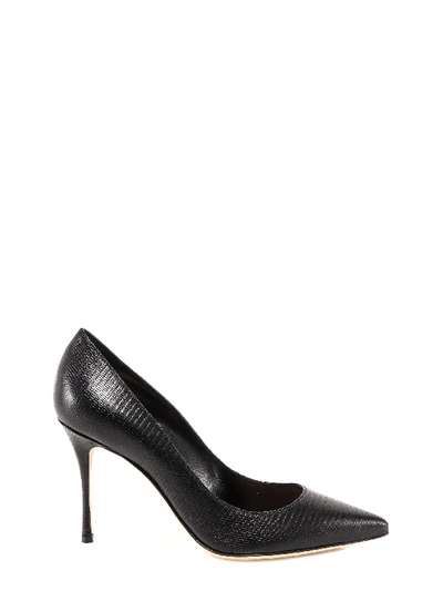 Shop Sergio Rossi Pointed-toe Leather Pumps In Black