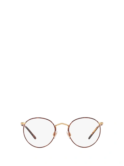 Shop Polo Ralph Lauren Ph1179 Havana On Shiny Gold Glasses In 9384