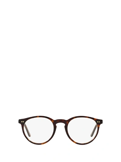 Shop Polo Ralph Lauren Ph2083 Shiny Dark Havana Glasses In 5003