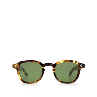Shop Moscot Momza Sun Heritage Tortoise Calibar Green Sunglasses