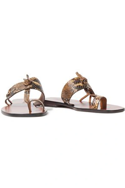 Shop Zimmermann Knotted Snake-effect Leather Sandals In Animal Print
