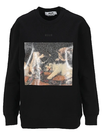 Shop Msgm Cat-print Sweatshirt In Black