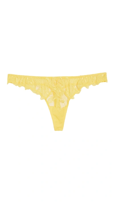 Shop Fleur Du Mal Lily Embroidery Cheeky In Sunshine