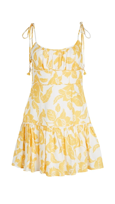 Shop Zimmermann Bells Fit Flare Mini Dress In Yellow Floral