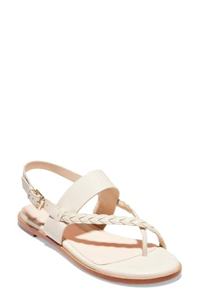 Shop Cole Haan Anica Sandal In Pumice Stone Leather