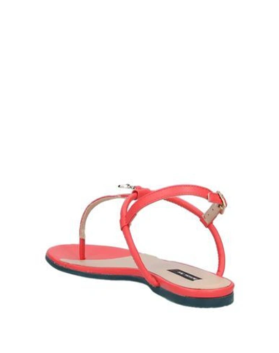 Shop Patrizia Pepe Toe Strap Sandals In Coral