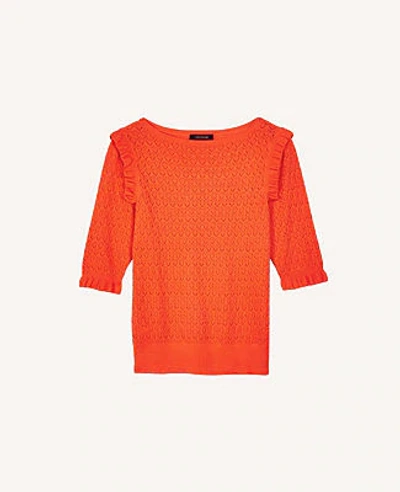 Shop Ann Taylor Pointelle Ruffle Sweater Tee In Wild Poppy