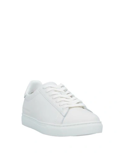 Armani Exchange Sneakers In White
