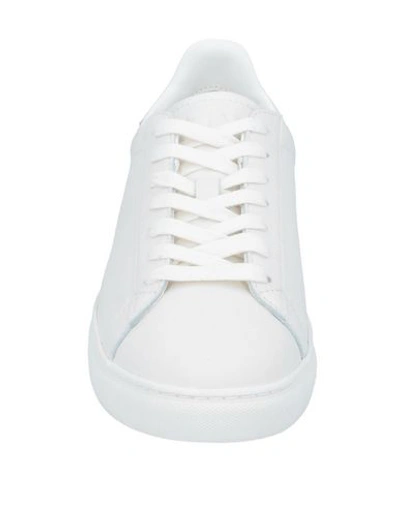 Armani Exchange Sneakers In White