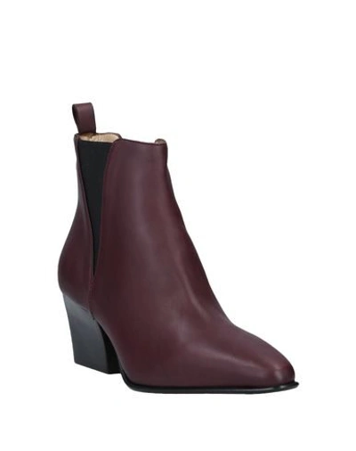 Shop Pomme D'or Ankle Boots In Maroon