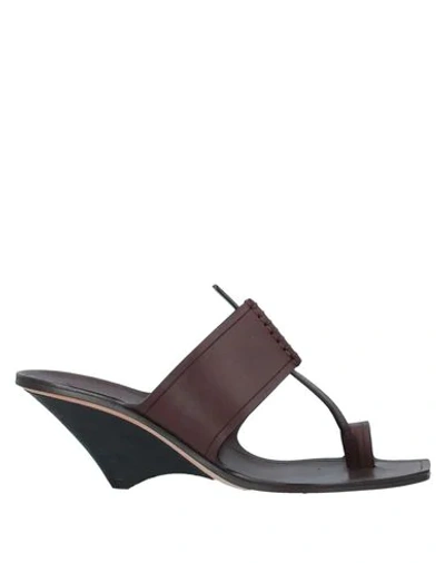 Shop Saint Laurent Toe Strap Sandals In Dark Brown