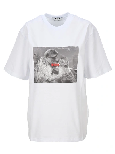Shop Msgm Monkey Print T-shirt In White