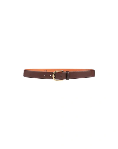 Shop Campomaggi Belts In Cocoa