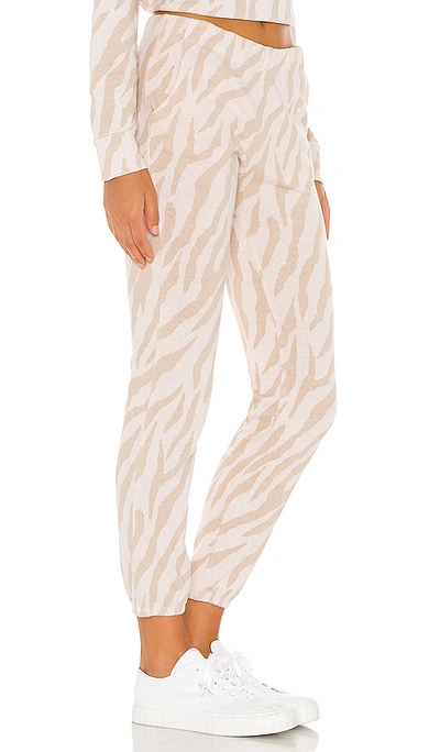 Shop Monrow Zebra Chill Sweatpant In Taupe