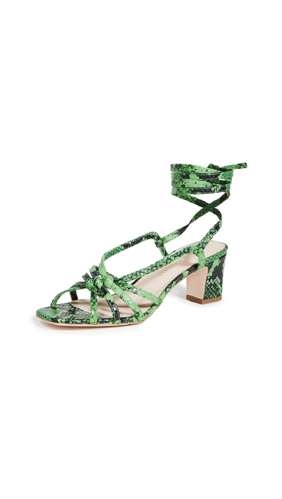 Shop Loeffler Randall Libby Knotted Wrap Sandals In Kelly Green