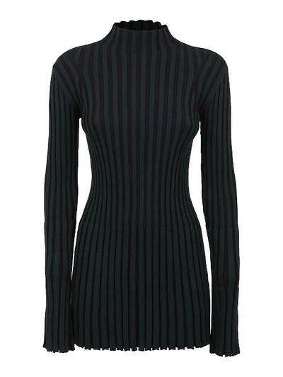 Shop Kenzo Ribbed Viscose Blend Turtle Neck In Dark Green