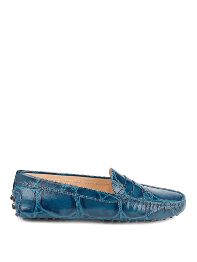 Shop Tod's Croco Printed Leather Driver Loafers In Light Blue