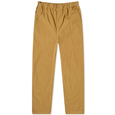 Shop Albam Havana Drawstring Trouser In Brown