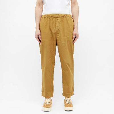 Shop Albam Havana Drawstring Trouser In Brown