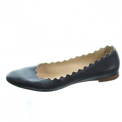 Pre-owned Chloé Navy Exotic Leathers Ballet Flats