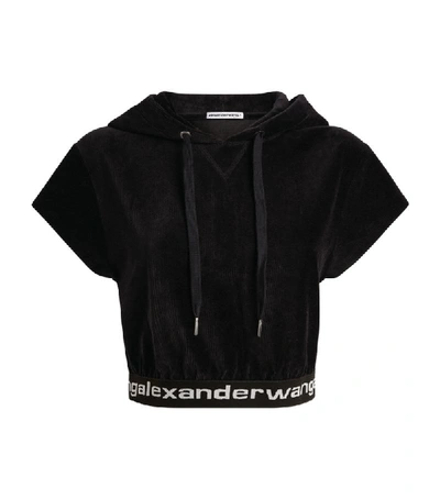 Shop Alexander Wang Crop Velour Logo Hoodie