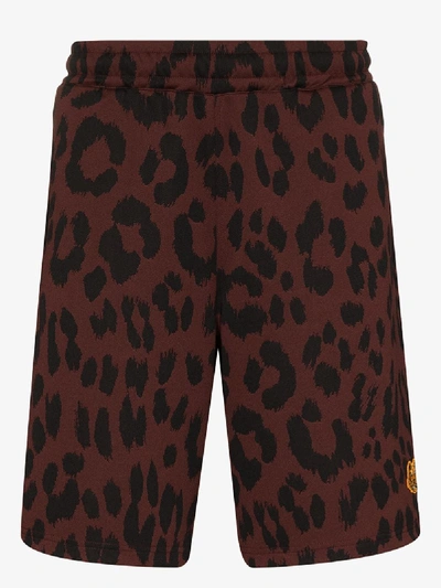 Shop Kenzo Leopard Print Shorts In Brown