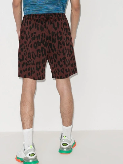Shop Kenzo Leopard Print Shorts In Brown