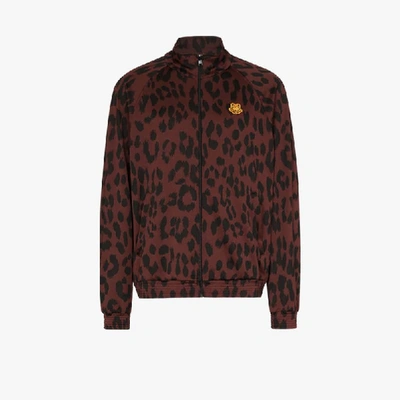 Shop Kenzo Leopard Print Track Jacket In Black