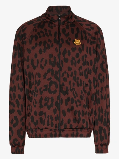 Shop Kenzo Leopard Print Track Jacket In Black