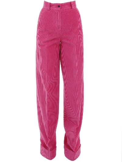 Shop Pt01 Pants Fuchsia Velvet In Fuxia