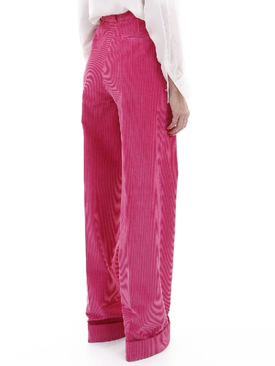 Shop Pt01 Pants Fuchsia Velvet In Fuxia