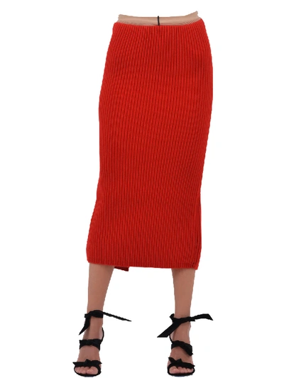 Shop Calvin Klein 205w39nyc Ribknit Midi Skirt In Red