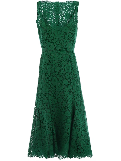 Shop Dolce & Gabbana Green Lace Dress