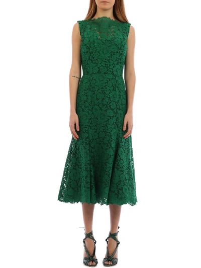 Shop Dolce & Gabbana Green Lace Dress