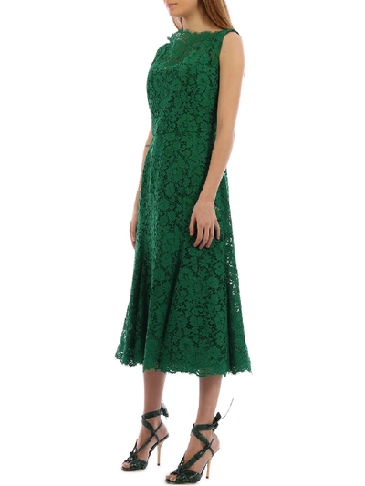 Shop Dolce & Gabbana Green Lace Dress