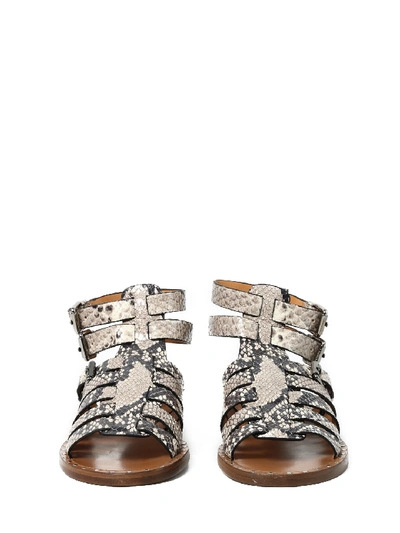 Shop Church's Python Leather Sandal In Beige